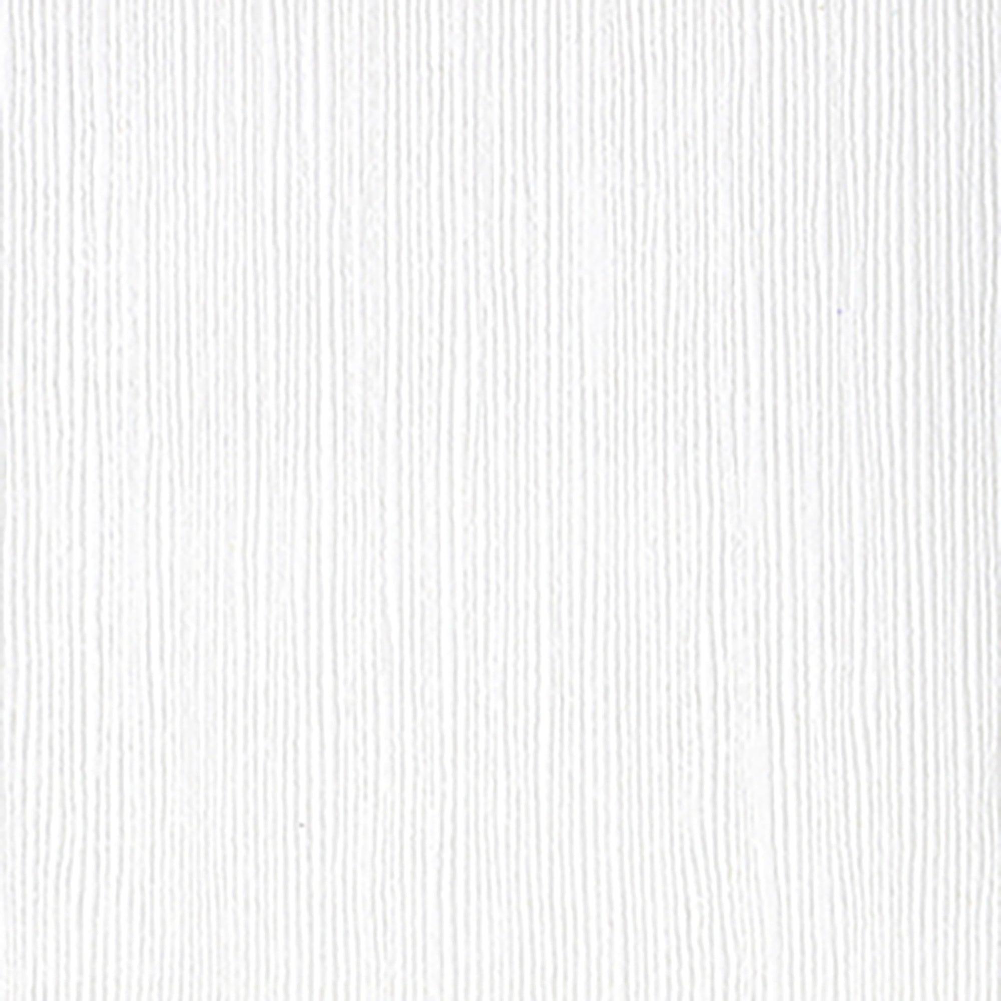 Bazzill Fourz Cardstock 12"X12"